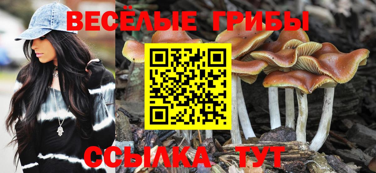 Псилоцибиновые грибы мицелий  Вход с VPN  Саров 